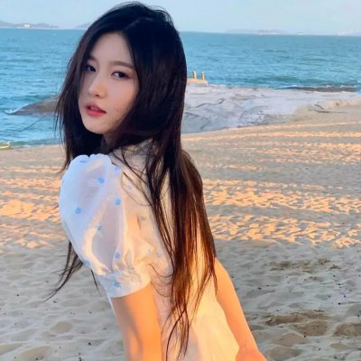 对战美洲狮